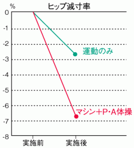 ヒップ原寸率グラフ